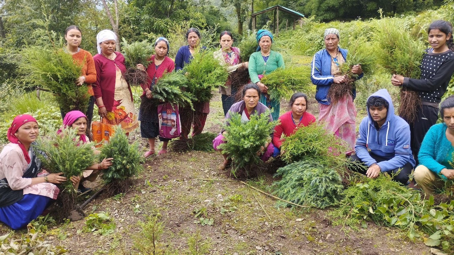 The Importance Of Van Panchayats Why Do We Protect Them Voices Of