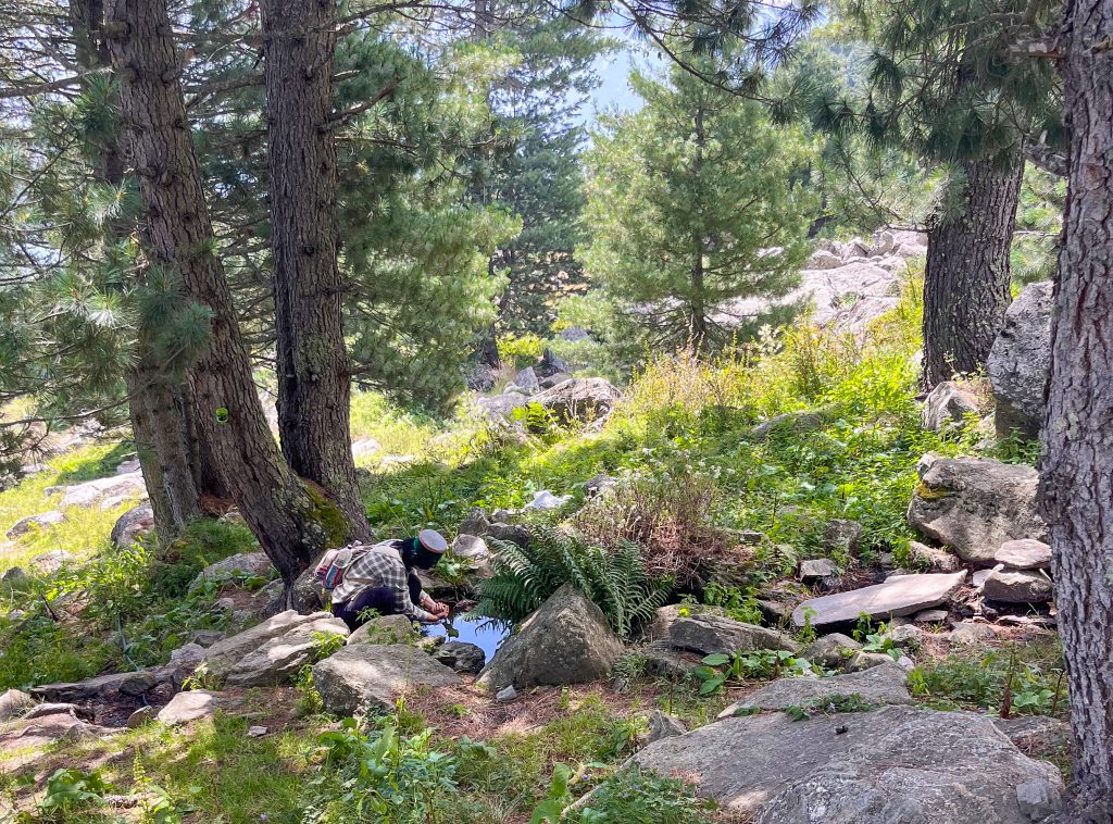 Naagas Kinnaur Landscape