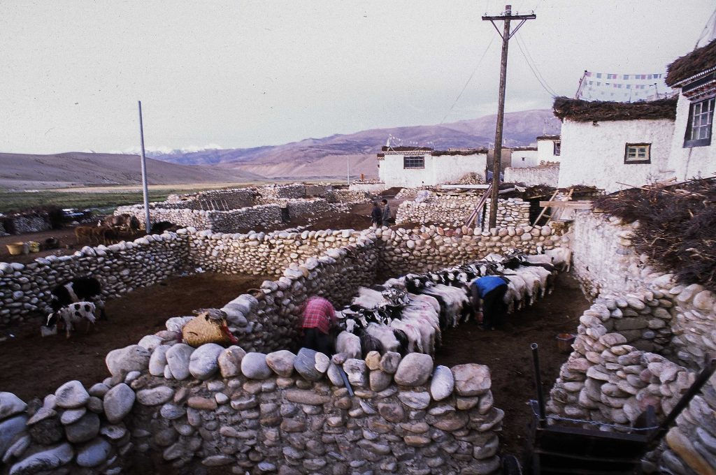 A stone enclosure used to contain horses, mules, sheep, and goats during the Tibetan trade journey.