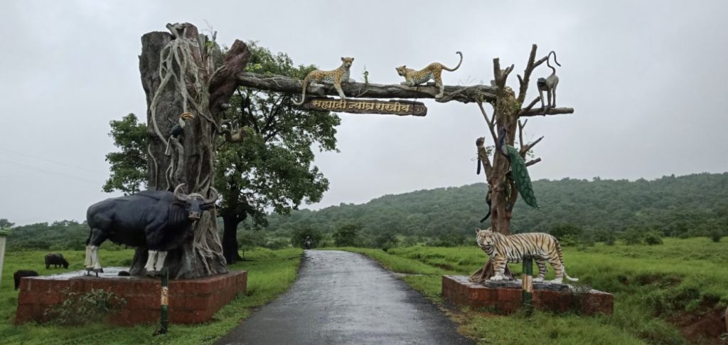 Sahyadri Tiger Reserve. Photo: Mahadu Chindhu Kondar