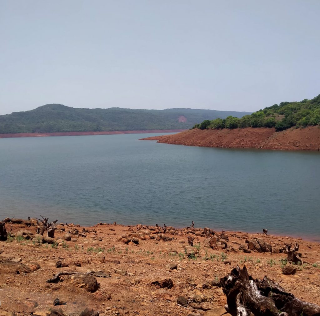 The centuries old historic fort of Prachitgad (near the Patharpunj plateau), considered to be the crown jewel of Sahyadri, is in the midst of the forest area of Chandoli National Park and is often visited by trekking enthusiasts. It is also near this fort that the Varana River originates and flows through the Chandoli National Park. The Varana and Koyna Rivers are the lifelines of the entire Chandoli ecosystem. The reservoir of the Varana Dam built on the Varana River is called Vasant Sagar, which is home to large crocodiles!