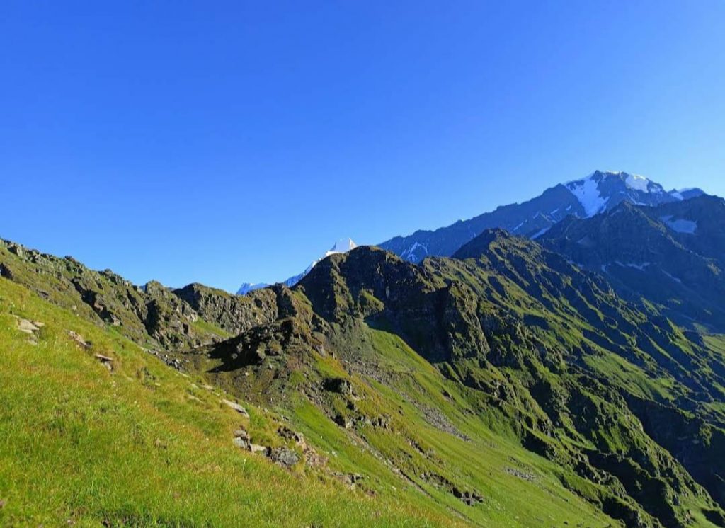 Ranthan Top Bugyal (alpine meadows) at an elevation of 3,927 meters, where shepherds graze their animals. Photo: Suresh